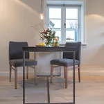 Austernfischer